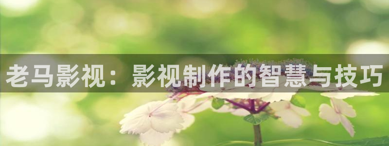 新汇嘉麦田影城购票