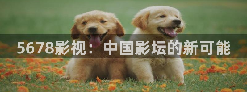 上海麦田：5678影视：中国影坛的新可能