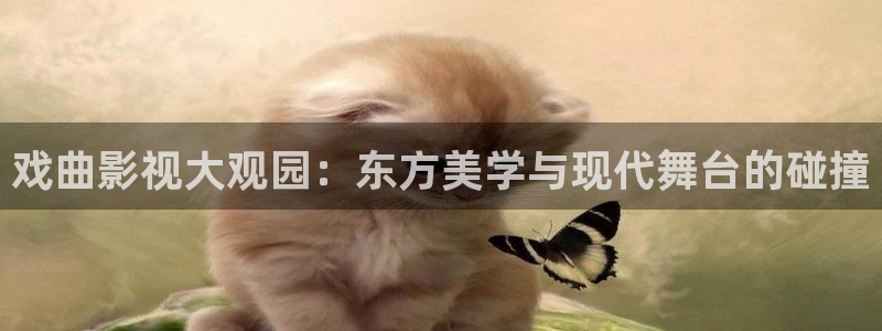 麦田影视app官方入口