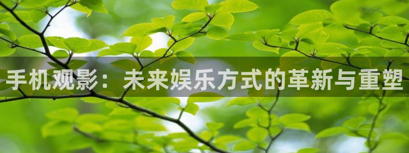 麦田影视影楼