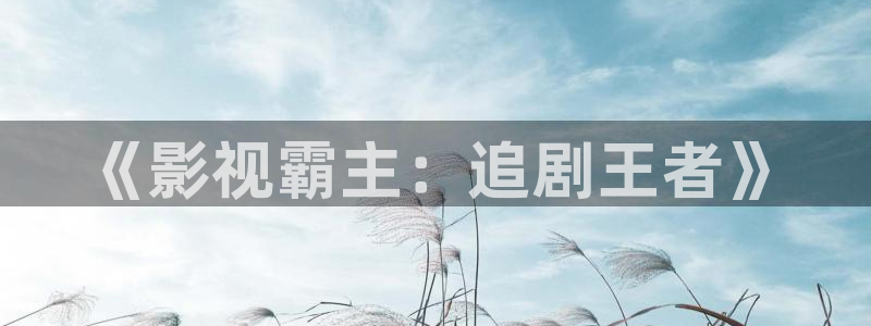 麦田汽车电影院：《影视霸主：追剧王者》