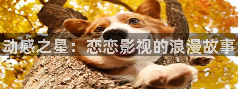 麦田 北京